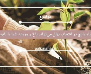 این ۵ اشتباه رایج در انتخاب نهال می‌تواند باغ و مزرعه شما را نابود کند!