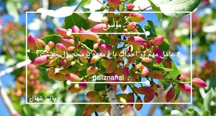 ۴ عامل مهم در احداث باغ میوه پرمحصول چیست؟