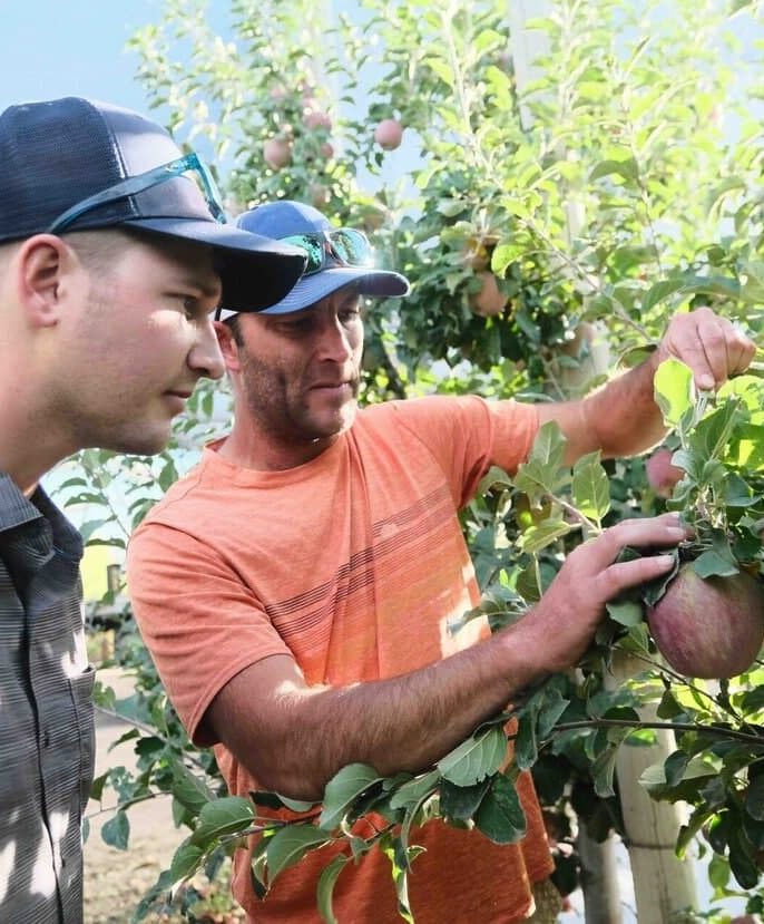 جمع‌ بندی چطور سفیدک پودری را به‌طور کامل مدیریت کنیم؟