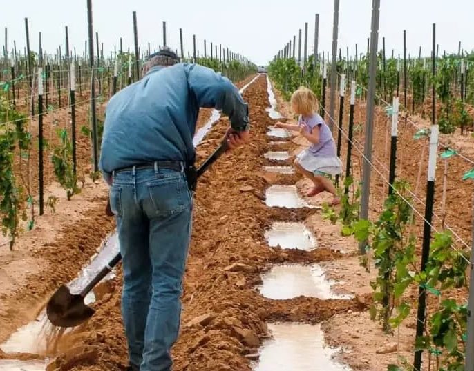 نکات مهم برای آبیاری در خاک‌های مختلف 