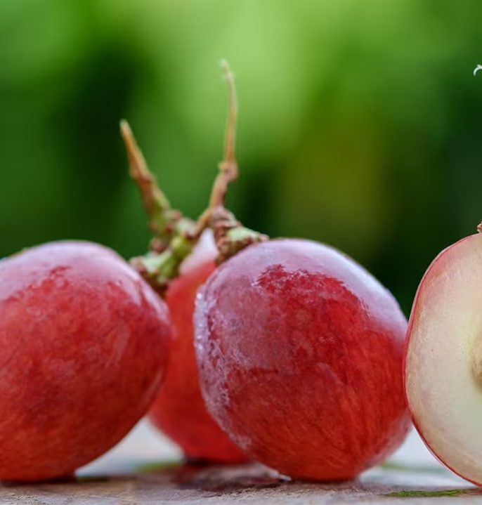 چطور زمان باردهی نهال انگور را کاهش دهیم؟
