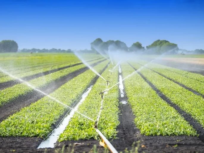 آبیاری بارانی