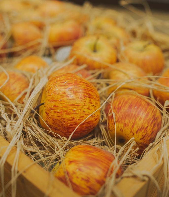 اشتباهات رایج در انبارداری سیب