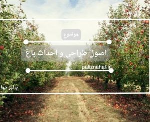اصول طراحی و احداث باغ (همه نکات لازم قبل از احداث)