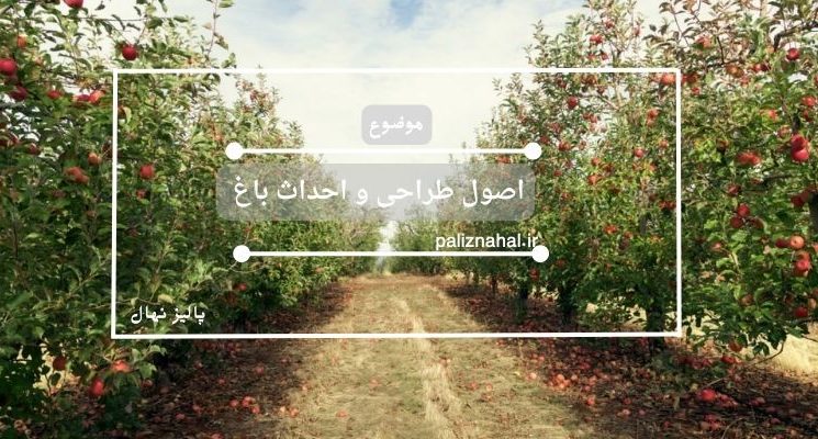 اصول طراحی و احداث باغ (همه نکات لازم قبل از احداث)