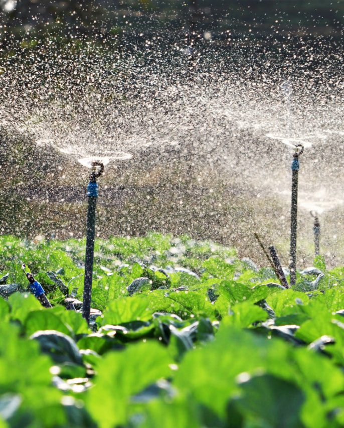 اهمیت استفاده از روش های نوین آبیاری