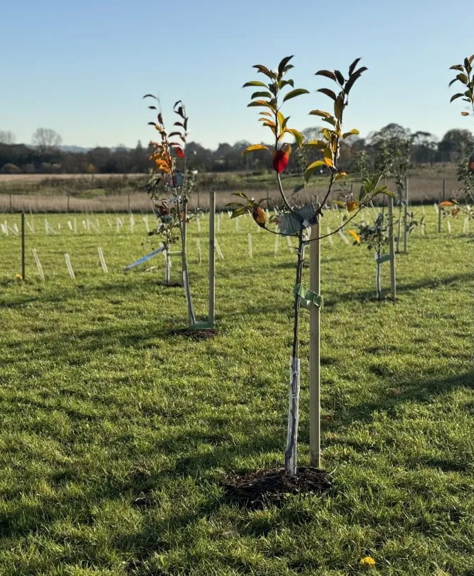 بررسی اقلیم و شرایط آب و هوایی زمین