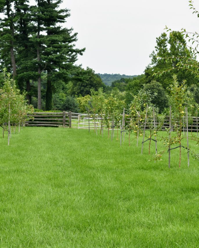 موقعیت جغرافیایی و دسترسی زمین