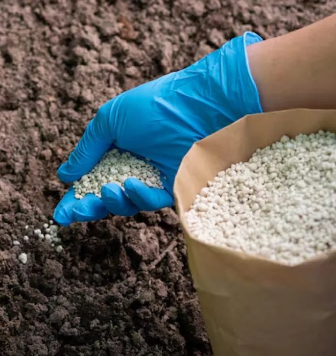 نقش نیتروژن در رشد سریع درخت انگور