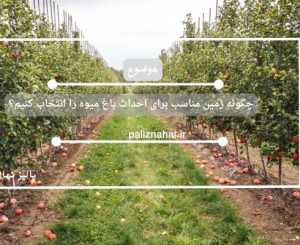 چگونه زمین مناسب برای احداث باغ میوه را انتخاب کنیم؟