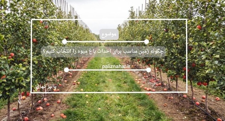 چگونه زمین مناسب برای احداث باغ میوه را انتخاب کنیم؟