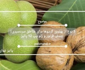 3 نوع از بهترین گردوها برای مناطق سردسیری چندلر، فرنور و ژنوتیپ 12 پالیز