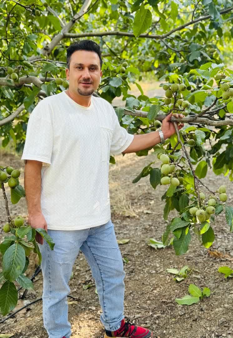 تولید۱میلیون گردو پیوندی در شرکت پالیز نهال