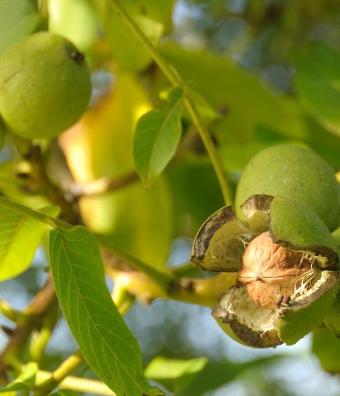 مقاومت بالا و کاهش هزینه های نگهداری