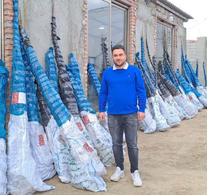 با نهال های اصلاح شده سریعتر از همیشه به ثروت برسید