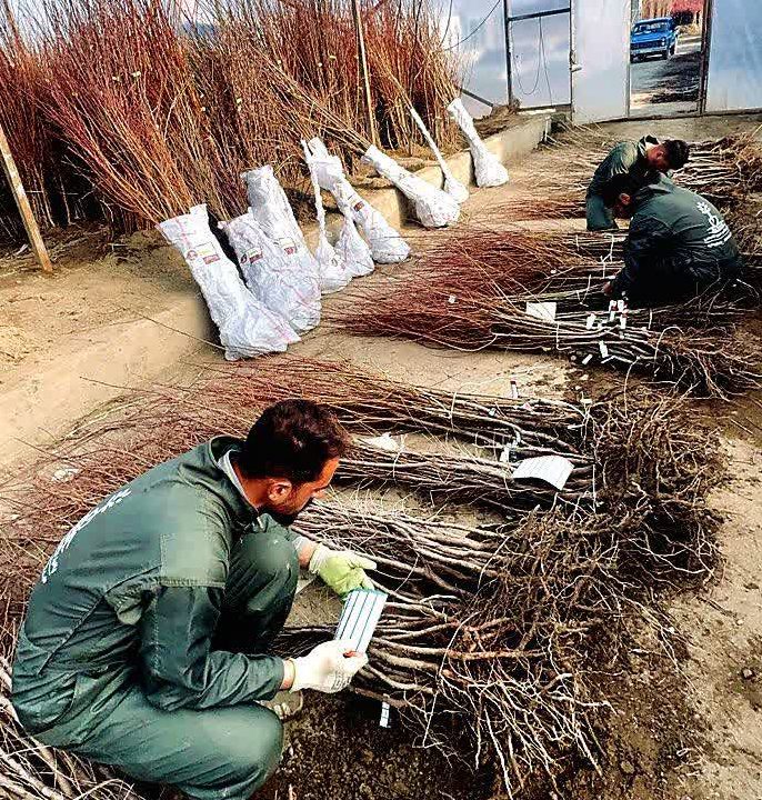 فروش محصول و بازاریابی